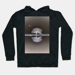 A Quiet Solitude Hoodie